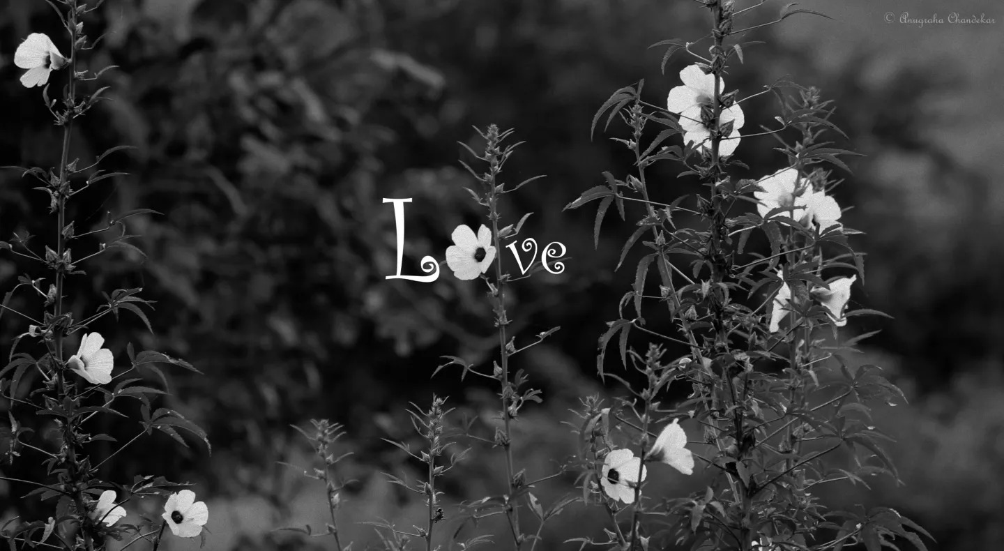 And then there is love